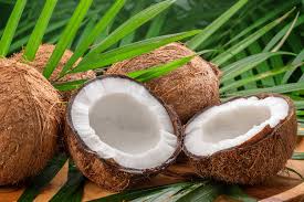 Coconut